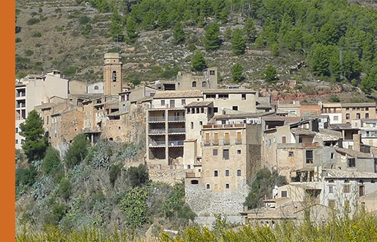 vision-celler-Lo
